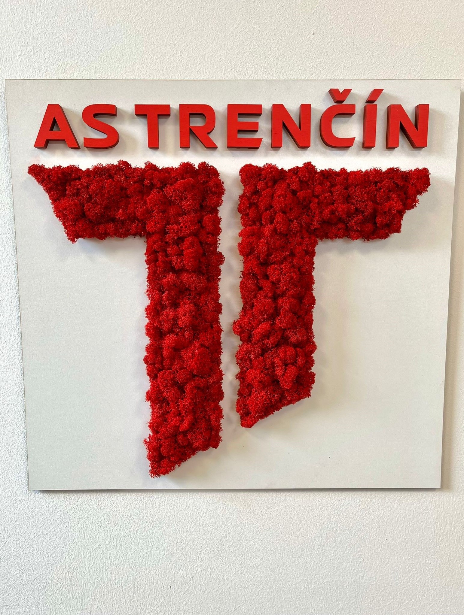 WhatsApp Image 2026-02-20 at 08.14.06 (3)